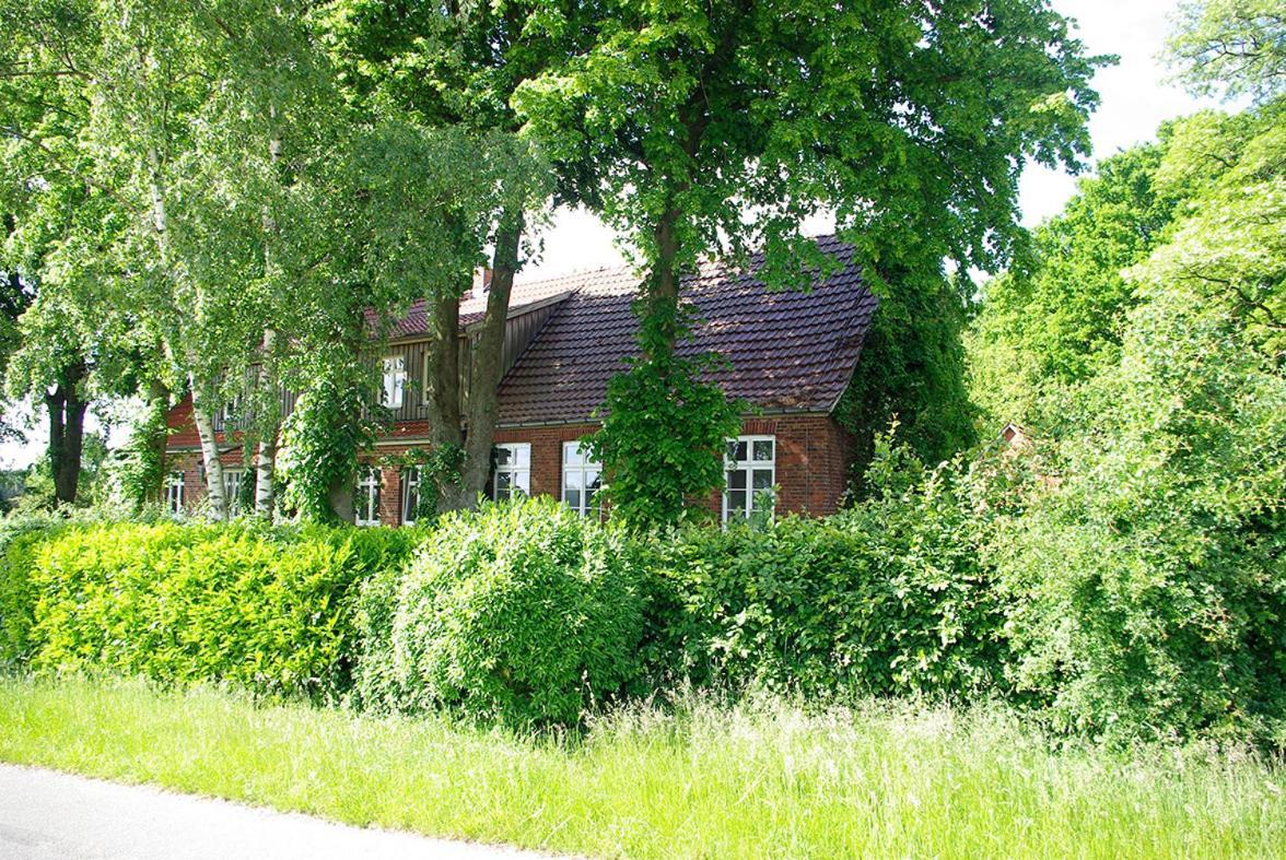 MerzenAlte Schule Osteroden公寓 外观 照片